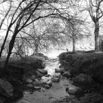 42807789 by brujo d17rv4i-fullview