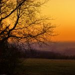 DSC01858w