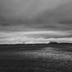 DSC02288w