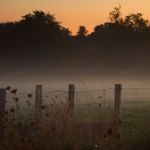 DSC07533w