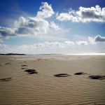 the beach