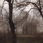 wintergloom