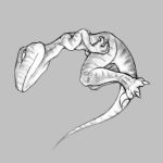 DINO3