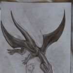 DSC06270